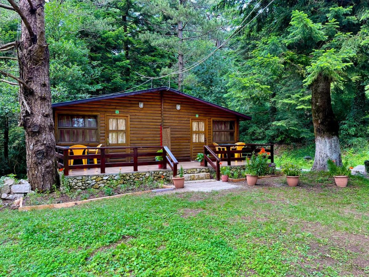 Uji I Panjes Llogara Villa Vlore Ngoại thất bức ảnh